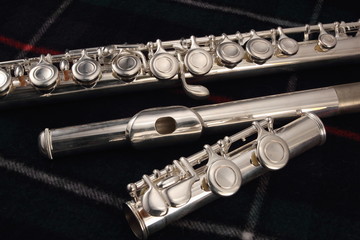 Naklejka premium flute