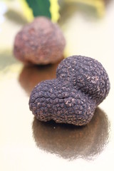 truffes noires nature