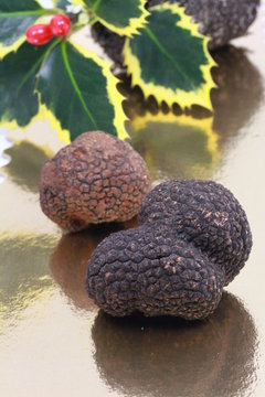 truffes noires en reflet