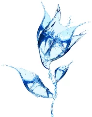 Crédence de cuisine en verre imprimé Nénuphars Flower made of water splashes
