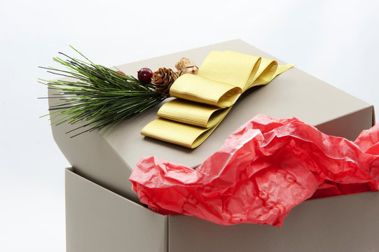 Gift Box