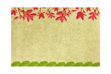 Patterned paper frangipani flowers and leaves