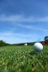 golf-ball on course