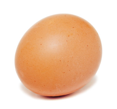 Single brown chicken egg