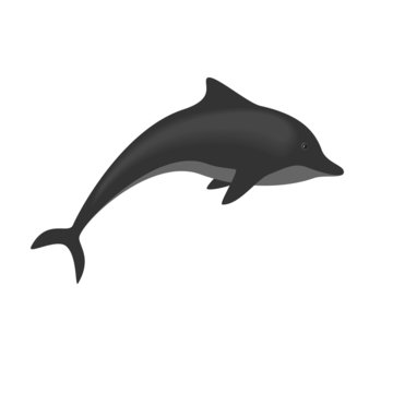 Dolphin isolated on white background, vector illustration