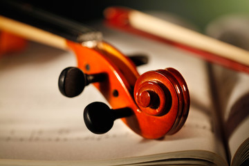 violino