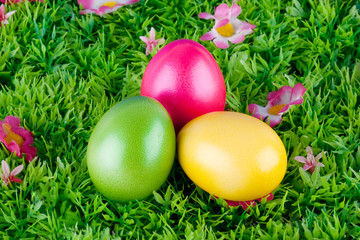 bemalte bunte Eier f&uuml;r Ostern auf Wiese mit Bl&uuml;ten