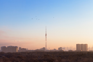 pink sunrise in winter morning in Moscow