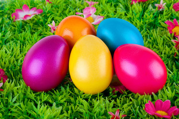 Fototapeta na wymiar bemalte bunte Eier für Ostern auf Wiese mit Blüten