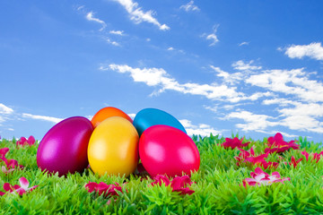 bemalte bunte Eier für Ostern auf Wiese mit Blüten