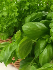 Herbs, closeup