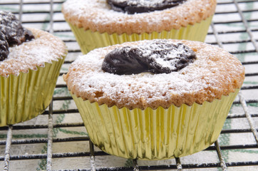 Cupcake mit getrockneter Pflaume und Puderzucker