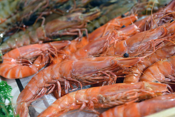 Shrimps