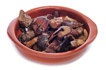 rovellons, typical autumn mushroom of Spain