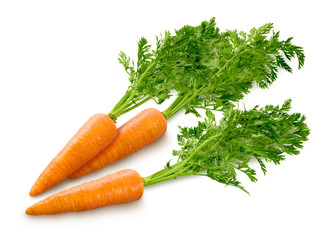 Carrots Isolated on white