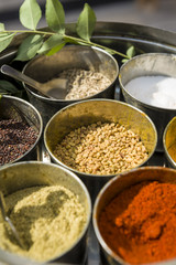 Set of various color indian spices