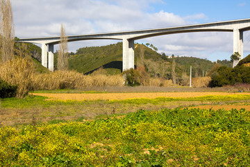 Elevated highway viaduct over a grassy field