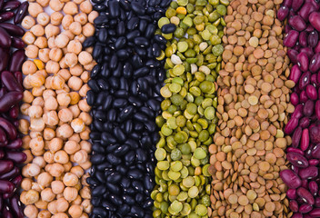Legume collection