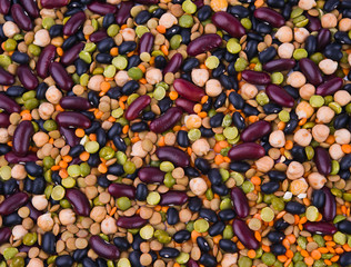 kidney bean, lentil, peas and chick-pea