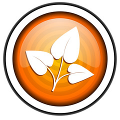 eco orange glossy icon isolated on white background