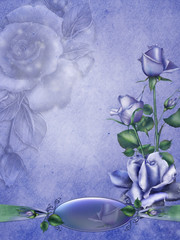 Niebieskie róże © Obsidian Fantasy