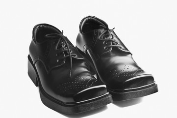 pims_20081007_as0053