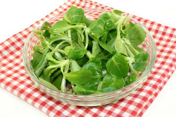 Feldsalat