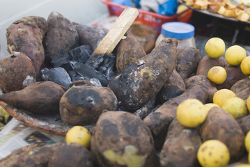 pims_20090121_ps0228