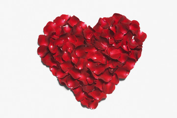 pims_20090206_as0007