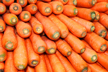 Pile of carrots