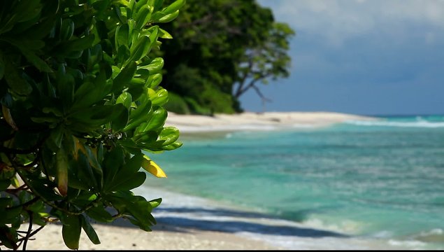 Havelock Island blue sky, Andaman Islands, India