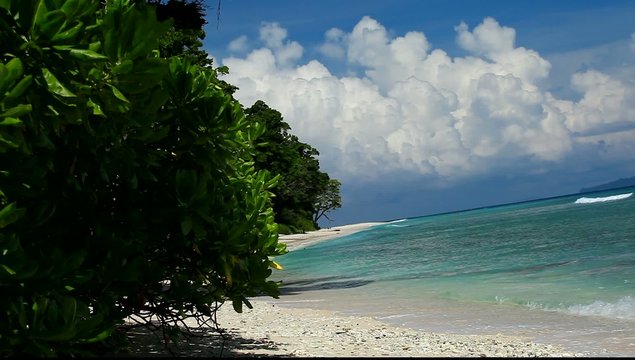 Havelock Island blue sky, Andaman Islands, India