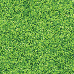 Green grass background - 48107107