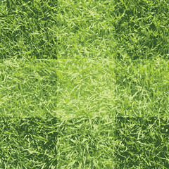 Green grass background