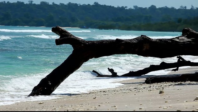 Havelock Island blue sky, Andaman Islands, India
