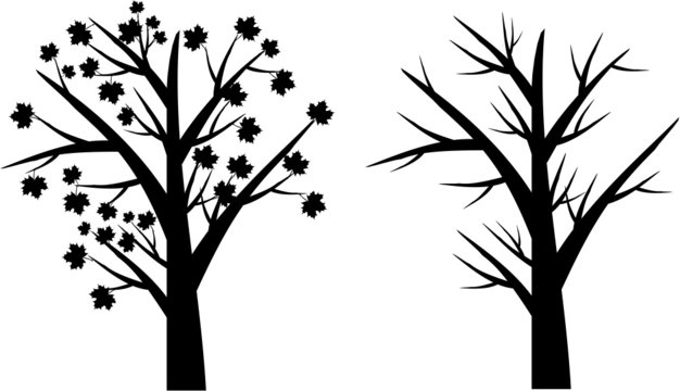 Baum Silhouette schwarz