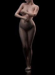 Pregnant woman anterior view cgi