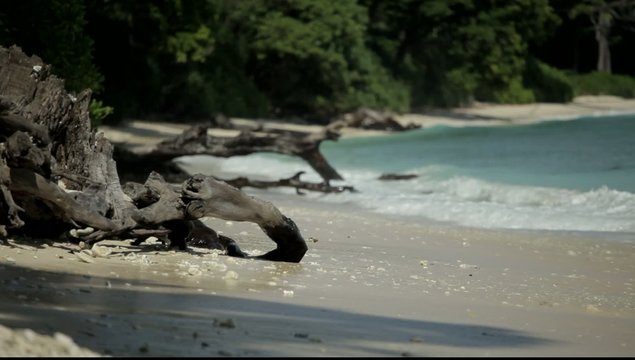 Havelock Island blue sky, Andaman Islands, India