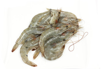 crevettes crues