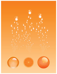 Orange Fruit Juice