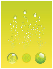 Lemon Fruit Juice