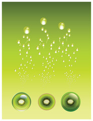 Kiwi Fruit Juice