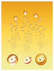 Apple Fruit Juice