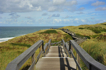 Obraz premium Kładka przez wydmy Morza Północnego