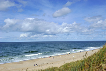 Dünenlandschaft Nordsseküste