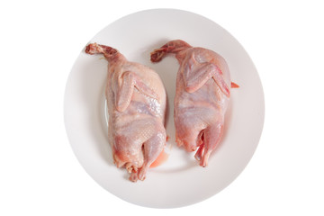 Two partridge fresh birds