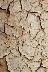 Grungy cracked paint