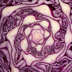 Obraz premium Cabbage cut