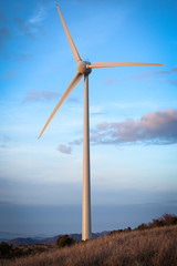Fototapeta premium Typical windmill or aerogenerator of aeolian energy