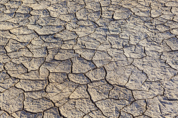 loam in a saline basin